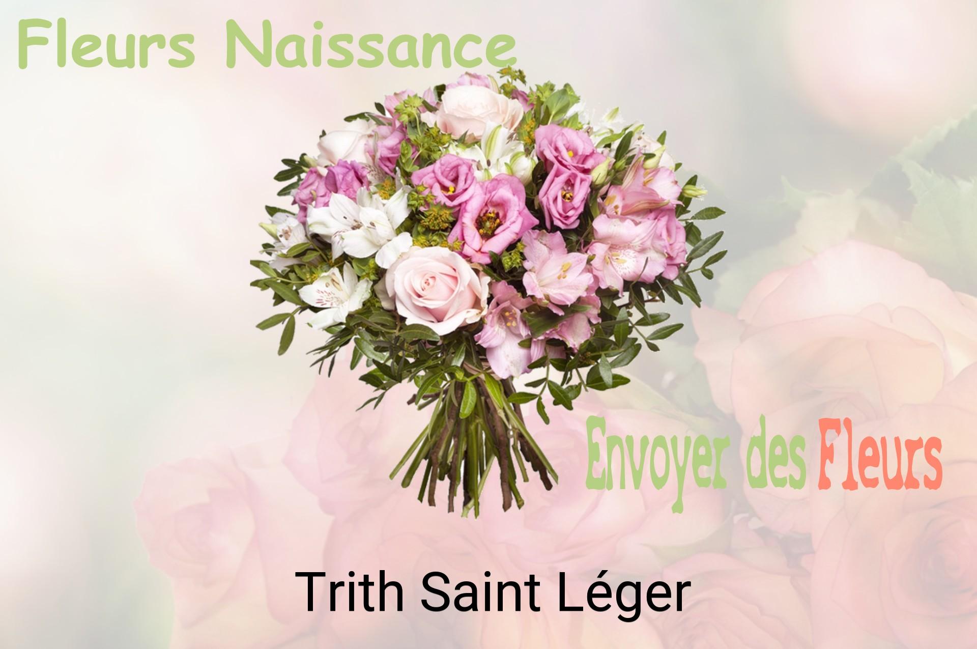Bouquet de fleurs de naissance livré à Trith-Saint-Léger